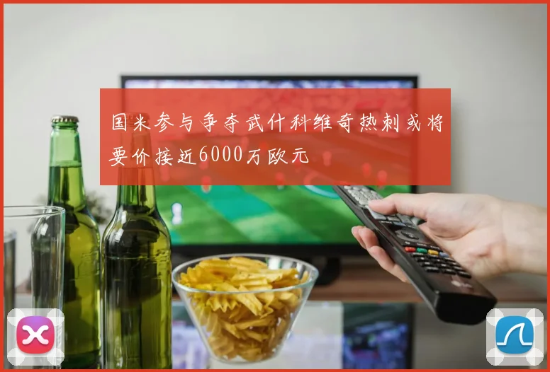 国米参与争夺武什科维奇热刺或将要价接近6000万欧元