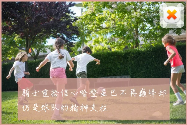 骑士重拾信心哈登虽已不再巅峰却仍是球队的精神支柱