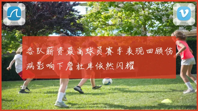 各队薪资最高球员赛季表现回顾伤病影响下詹杜库依然闪耀
